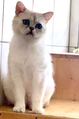 Bei Fragen nutzen Sie bitte das folgende Formular. Die Daten werden uns direkt übermittelt und bearb