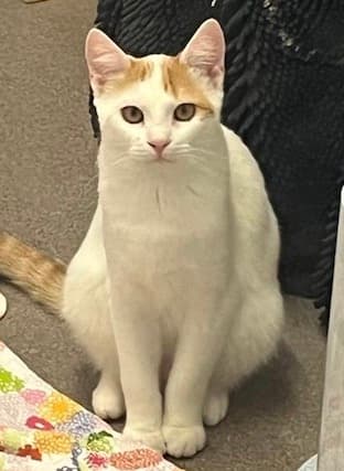 Bei Fragen nutzen Sie bitte das folgende Formular. Die Daten werden uns direkt übermittelt und bearb