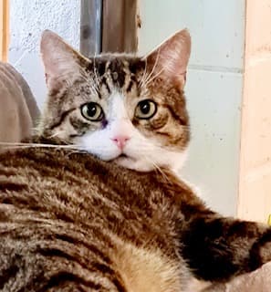 Bei Fragen nutzen Sie bitte das folgende Formular. Die Daten werden uns direkt übermittelt und bearb