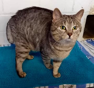 Bei Fragen nutzen Sie bitte das folgende Formular. Die Daten werden uns direkt übermittelt und bearb