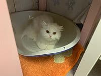 Bei Fragen nutzen Sie bitte das folgende Formular. Die Daten werden uns direkt übermittelt und bearb