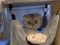 Bei Fragen nutzen Sie bitte das folgende Formular. Die Daten werden uns direkt übermittelt und bearb