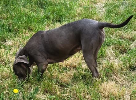 Bei Fragen nutzen Sie bitte das folgende Formular. Die Daten werden uns direkt übermittelt und bearb