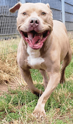 Bei Fragen nutzen Sie bitte das folgende Formular. Die Daten werden uns direkt übermittelt und bearb