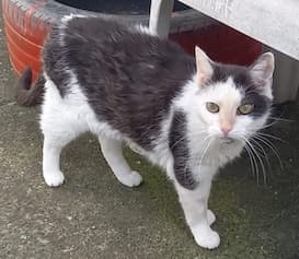 Bei Fragen nutzen Sie bitte das folgende Formular. Die Daten werden uns direkt übermittelt und bearb