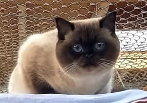 Bei Fragen nutzen Sie bitte das folgende Formular. Die Daten werden uns direkt übermittelt und bearb