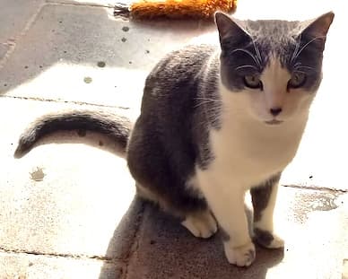 Bei Fragen nutzen Sie bitte das folgende Formular. Die Daten werden uns direkt übermittelt und bearb