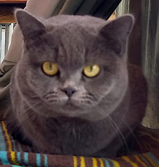 Bei Fragen nutzen Sie bitte das folgende Formular. Die Daten werden uns direkt übermittelt und bearb