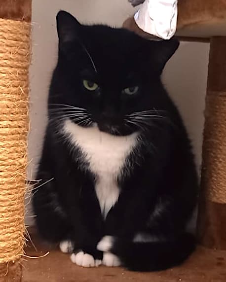 Bei Fragen nutzen Sie bitte das folgende Formular. Die Daten werden uns direkt übermittelt und bearb