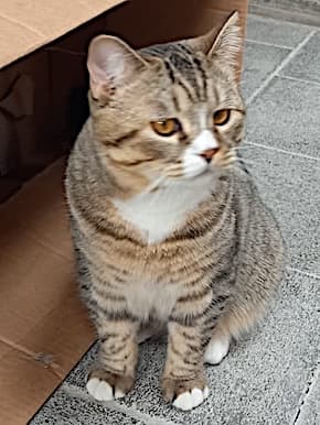 Bei Fragen nutzen Sie bitte das folgende Formular. Die Daten werden uns direkt übermittelt und bearb