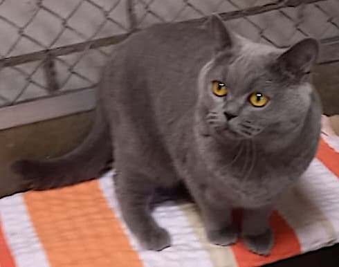 Bei Fragen nutzen Sie bitte das folgende Formular. Die Daten werden uns direkt übermittelt und bearb