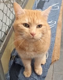 Bei Fragen nutzen Sie bitte das folgende Formular. Die Daten werden uns direkt übermittelt und bearb