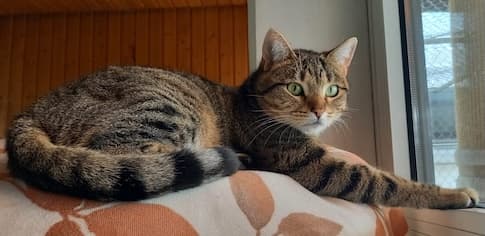 Bei Fragen nutzen Sie bitte das folgende Formular. Die Daten werden uns direkt übermittelt und bearb