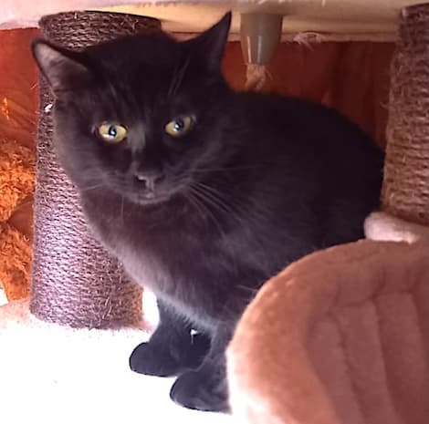 Bei Fragen nutzen Sie bitte das folgende Formular. Die Daten werden uns direkt übermittelt und bearb