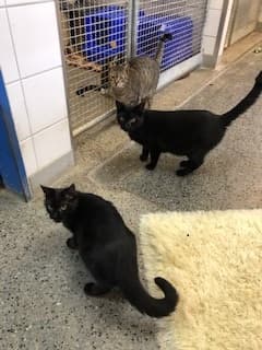 Bei Fragen nutzen Sie bitte das folgende Formular. Die Daten werden uns direkt übermittelt und bearb