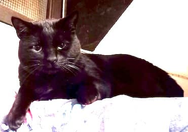 Bei Fragen nutzen Sie bitte das folgende Formular. Die Daten werden uns direkt übermittelt und bearb