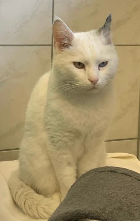 Bei Fragen nutzen Sie bitte das folgende Formular. Die Daten werden uns direkt übermittelt und bearb