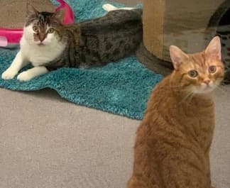 Bei Fragen nutzen Sie bitte das folgende Formular. Die Daten werden uns direkt übermittelt und bearb