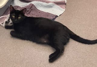 Bei Fragen nutzen Sie bitte das folgende Formular. Die Daten werden uns direkt übermittelt und bearb