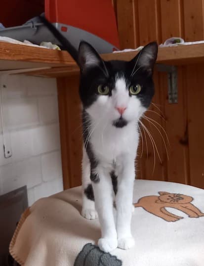 Bei Fragen nutzen Sie bitte das folgende Formular. Die Daten werden uns direkt übermittelt und bearb