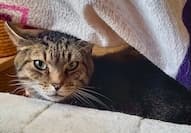 Bei Fragen nutzen Sie bitte das folgende Formular. Die Daten werden uns direkt übermittelt und bearb