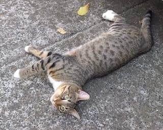 Bei Fragen nutzen Sie bitte das folgende Formular. Die Daten werden uns direkt übermittelt und bearb