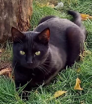 Bei Fragen nutzen Sie bitte das folgende Formular. Die Daten werden uns direkt übermittelt und bearb