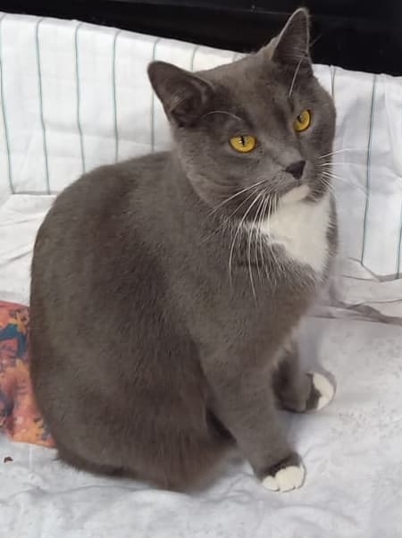 Bei Fragen nutzen Sie bitte das folgende Formular. Die Daten werden uns direkt übermittelt und bearb