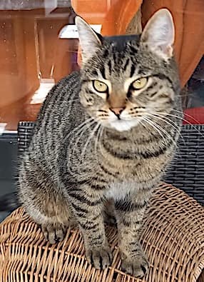 Bei Fragen nutzen Sie bitte das folgende Formular. Die Daten werden uns direkt übermittelt und bearb