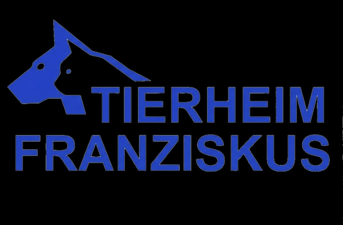 Kiara, female 6yo American Staffordshire Terrier for adoption at Tierheim Franziskus, Rosental an der Kainach