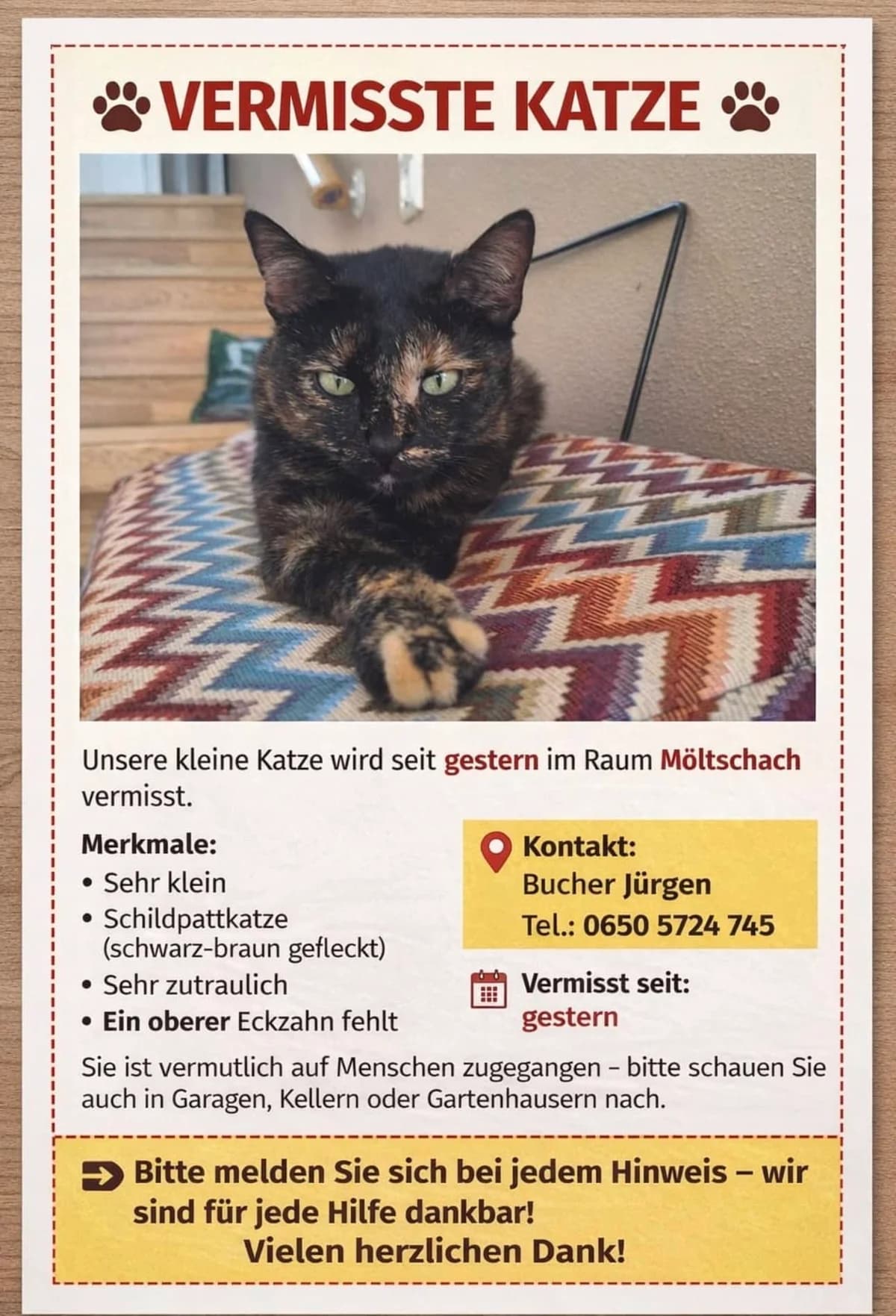 Herr, Mixed Breed for adoption at Kärntner Tierschutzverein Villach, Villach