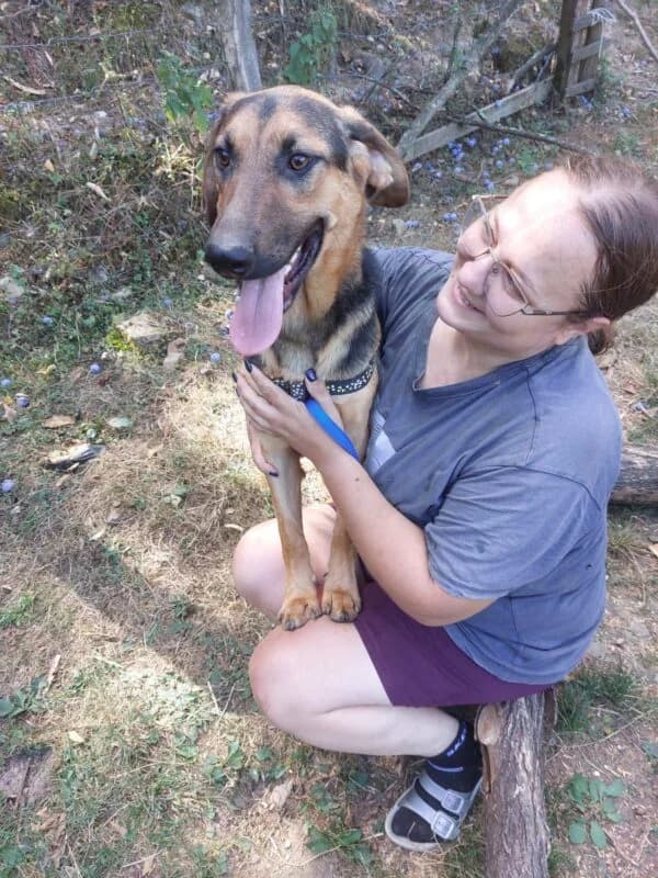 James, puppy Mixed Breed for adoption at Ankerhunde e.V., Novi Grad