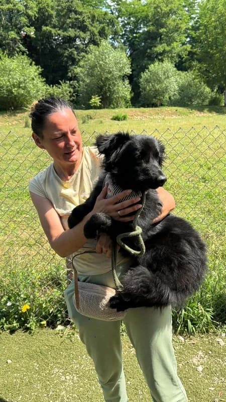 Lina, black female senior mixed breed for adoption at Hope VMS / Elaines Dogs, Bosnia