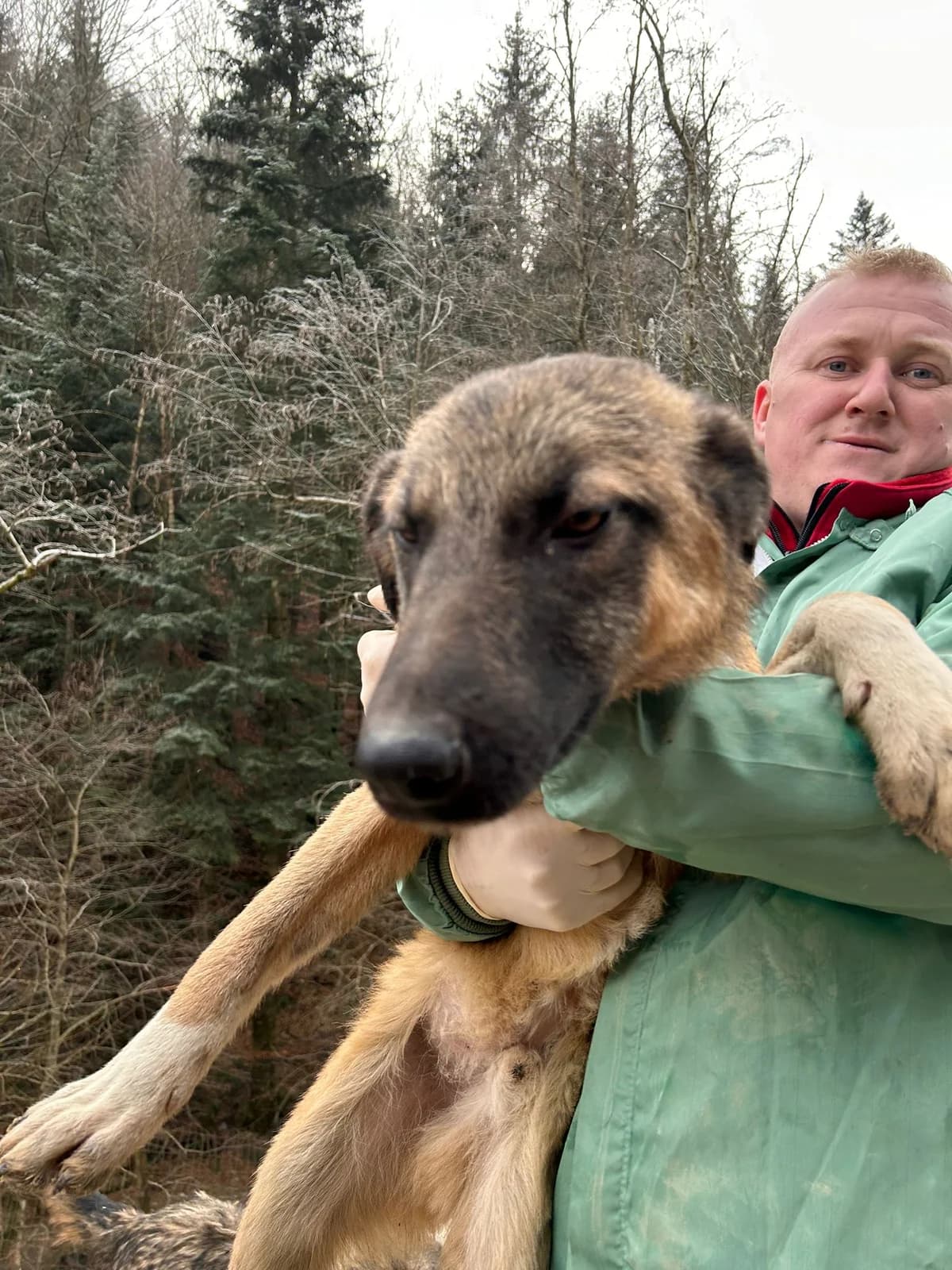 Giusi, Mixed Breed for adoption at Save the Dogs BiH, Jajce