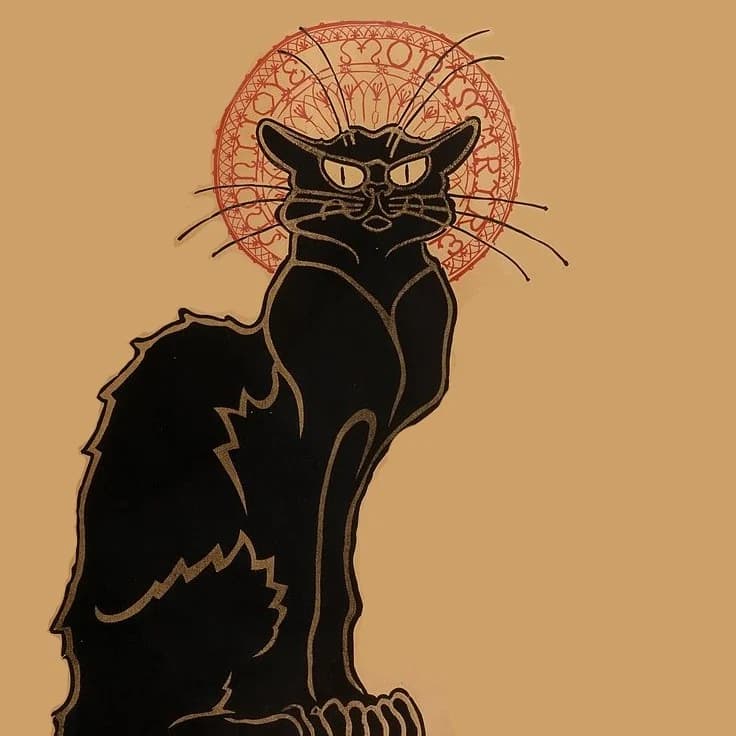 Katara, female Mixed Breed for adoption at Les Amis des Animaux ASBL, Feluy