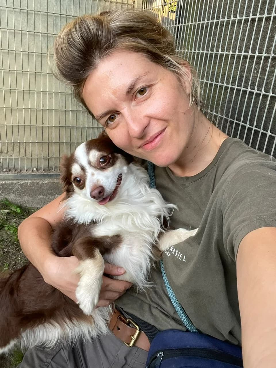 Honden, female Mixed Breed for adoption at Dierenasiel Genk, Genk