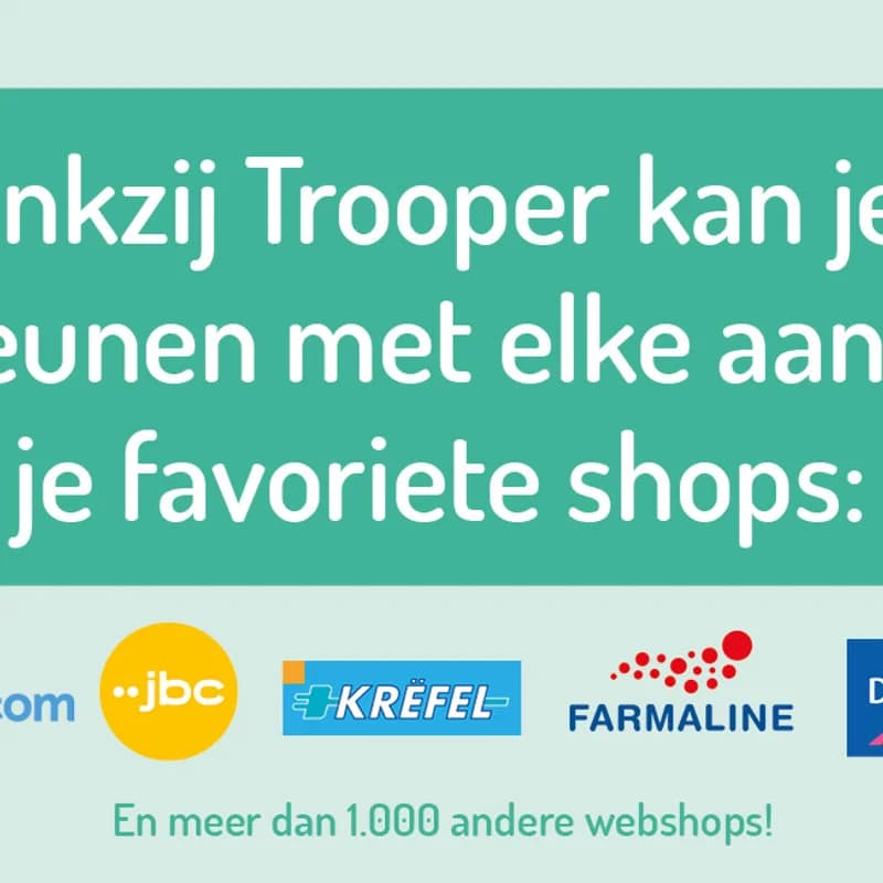 Vik & Vino, male Mixed Breed Cat for adoption at Dierenasiel Ninove, Ninove