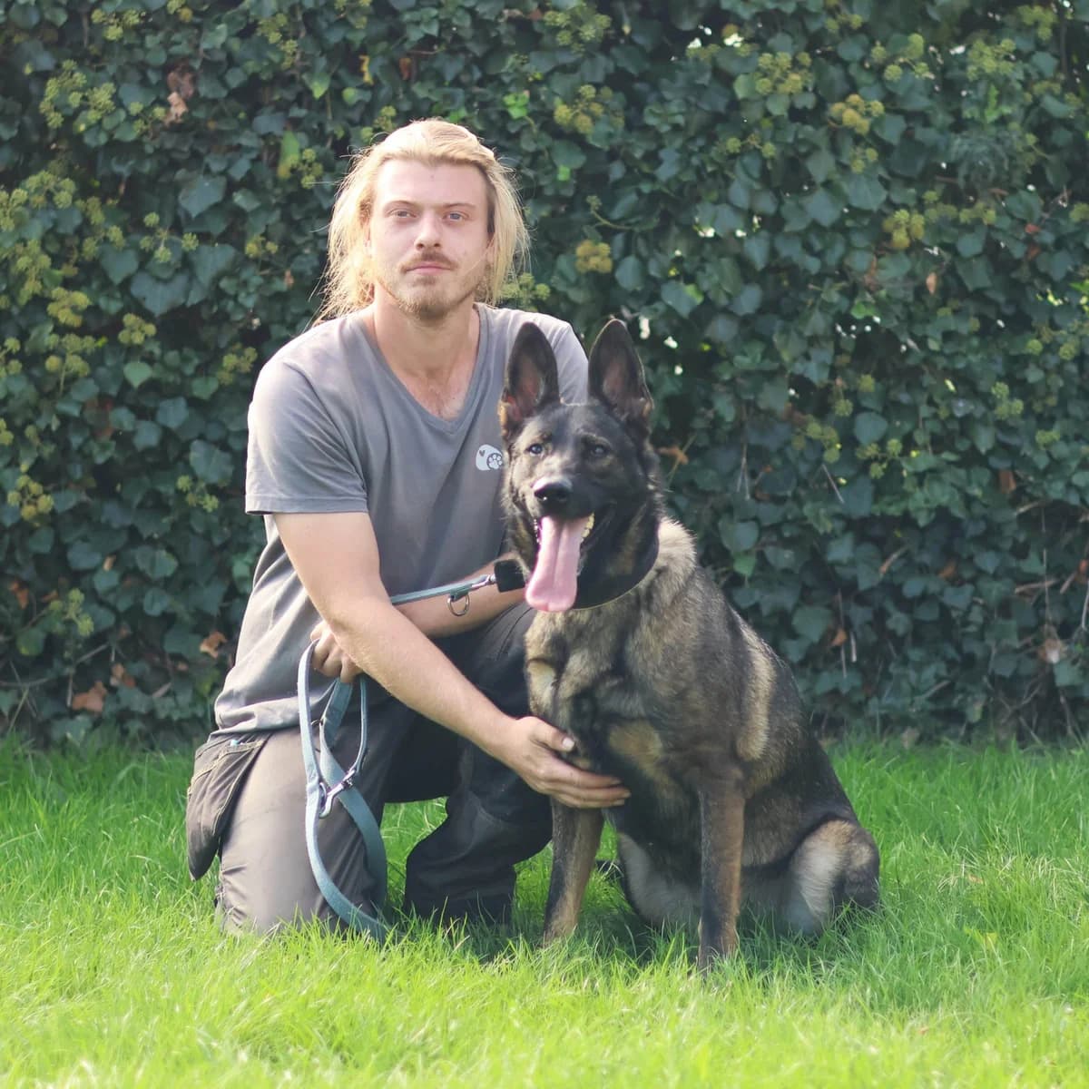 Xanthi, female young mixed breed for adoption at Dierenasiel Sint-Truiden, Sint-Truiden