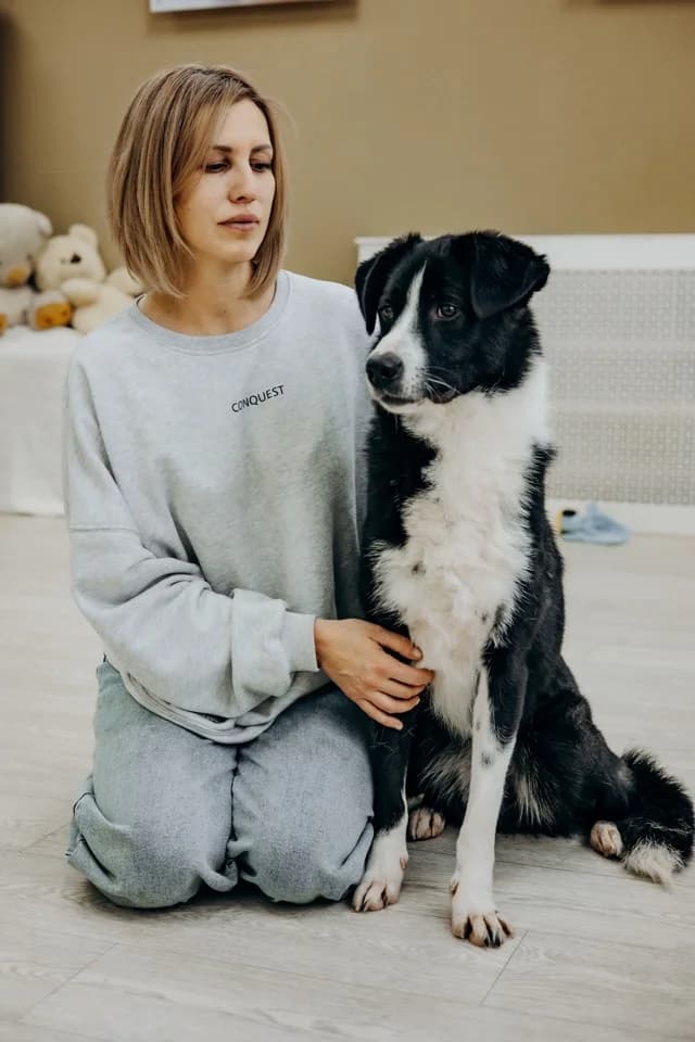 Prins Momo, young Mixed Breed for adoption at PetConnect