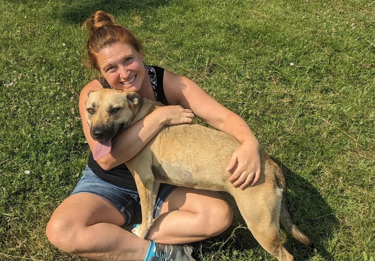 Lisa, male Mixed Breed for adoption at Helen, Vratsa region