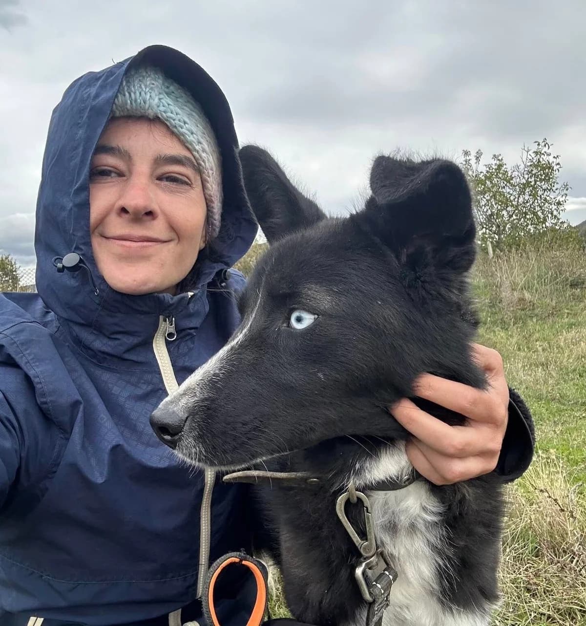 Luna, male Mixed Breed for adoption at Lucy Irvine Foundation Europe