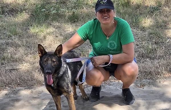 Kelvin, male 3yo mixed breed for adoption at Animal Happyend, Animal Happyend