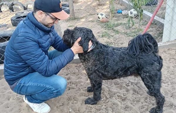 Pako-2, male 6yo Mixed Breed for adoption at Animal Happyend, Animal Happyend