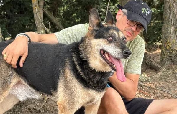 Roni-2 (Hund des Monats Juli 2024), male senior mixed breed for adoption at Animal Happyend, Animal Happyend