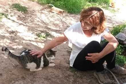 Willy, male Mixed Breed for adoption at ArchePfötli, Archepfoetli