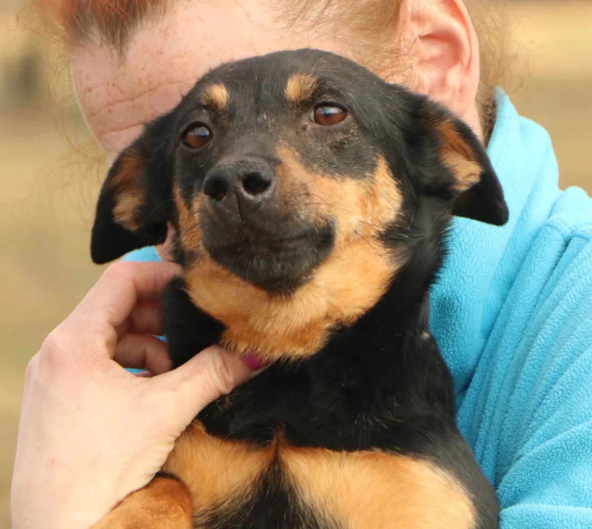 Janka, female Mixed Breed for adoption at home4dogs, Home4dogs