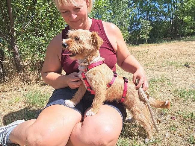 PAOLA, menschenbezogenes Mischlingsmädchen, ca. 2 Jahre, 28cm, 6,2kg, female 3yo Mixed Breed for adoption at Petsearch.ch, Zurich