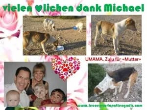 Umama und ihre Kinder bekamen die Chance auf ein glückliches Leben, female puppy Mixed Breed for adoption at Tiervermittlungen.ch, Elsau