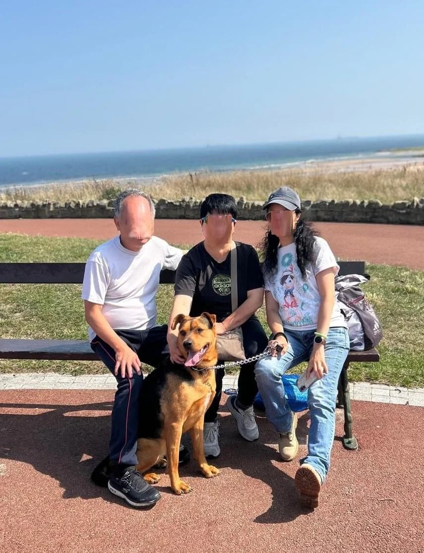 Steph - in the UK (Newcastle area), female 6yo Mixed Breed for adoption at Dali Dog Rescue UK, Dali