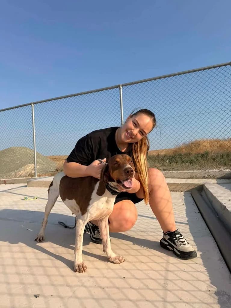 Rugger, male mixed breed for adoption at Saving Souls Animal Rescue